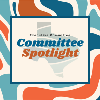 Executive Committee: In Focus