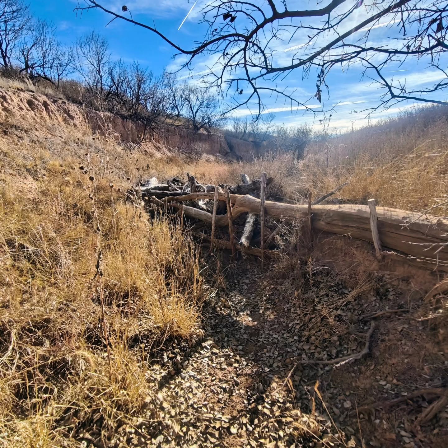 creek restoration 2